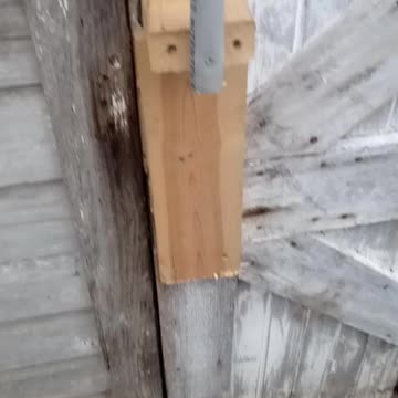 My older hen and breakfast eggs