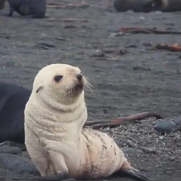 Sometimes you just gotta WIGGLE off the negativity!