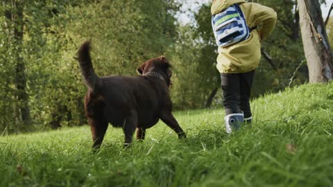 Canine Dog is Getting the Coins, and the Kid is Angry