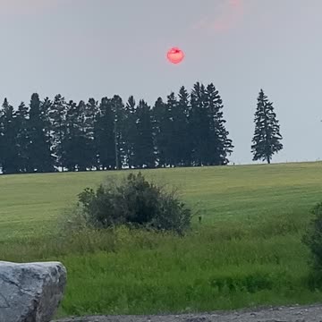 Creepy sun