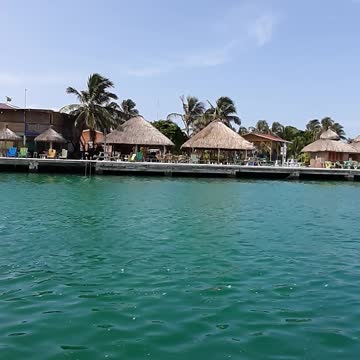 Caye caulker covid time