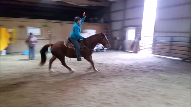 Duke Has Come So Far! Cantering and Cap Gun