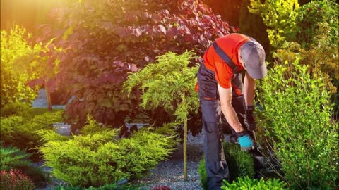 Riverside Containers & Landscaping - (919) 669-1117
