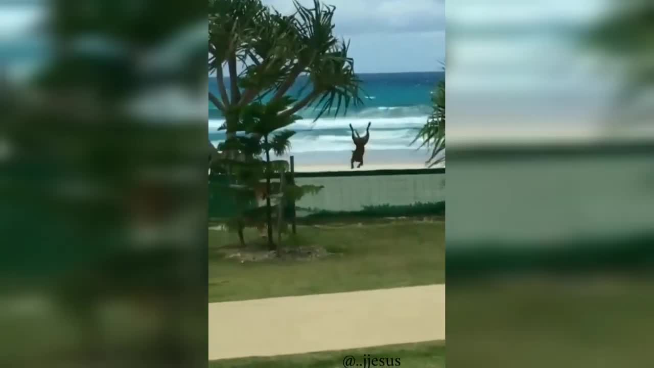Weeeeeeee meme | Try not to laugh | Tik toks compilation