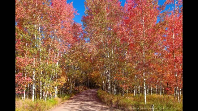 Colorado Springs Area