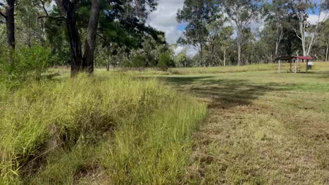 Stuart River Wondai