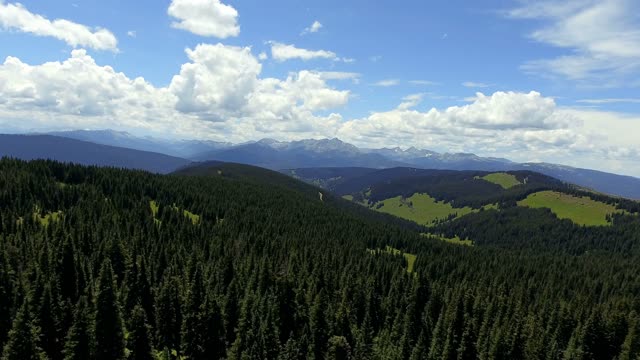 flying-over-a-field-and-through-pine-trees (Original)