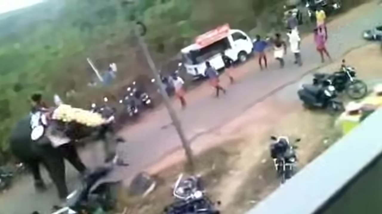 Furious Elephant Goes on Rampage, Destroys Vehicle!