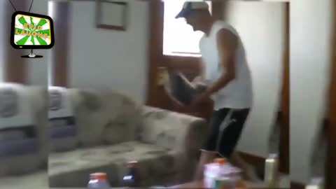 Funny Raccoons HD Epic Laughs