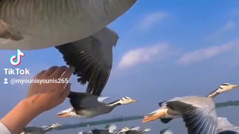 Very interesting video very nice