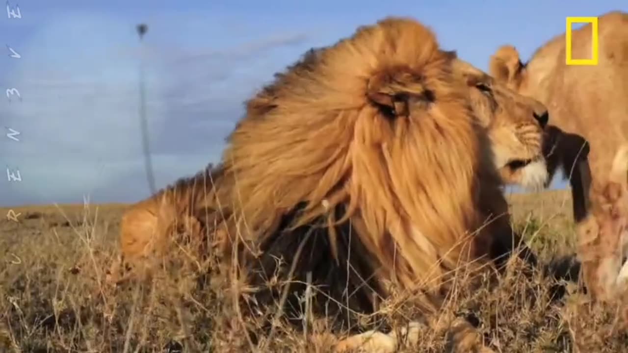 NEVER…EVER GIVE UP!!!