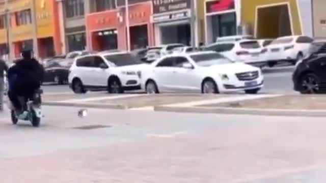 A Bird steals money