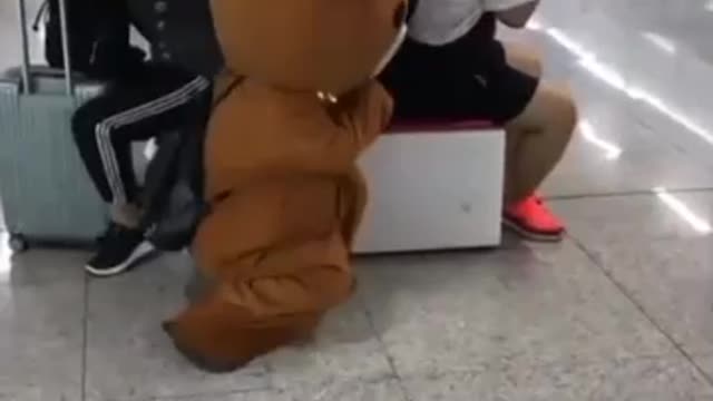 Funny Panda video