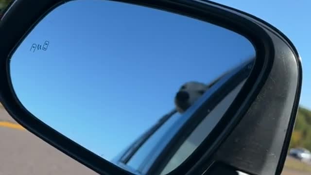 Hadassah enjoys her ride too and from work lol