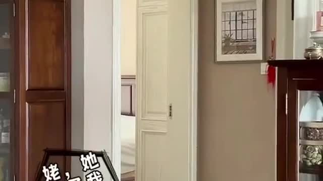 Beautiful cat 🐱🐱 video