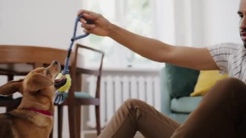 Man Playing With His Dog