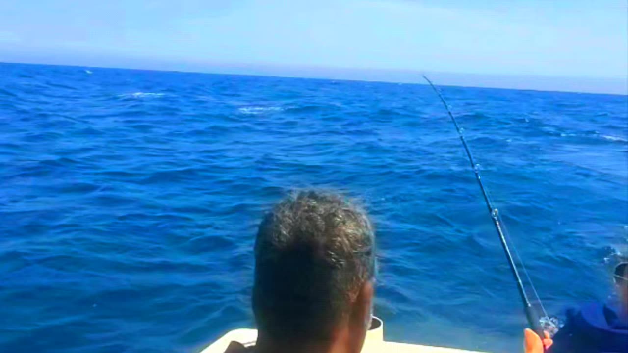 Luke 5 min Marlin vid