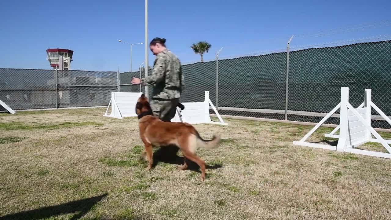 Rating in the Spotlight - MA2 Logann Parker (Military Working Dog Handler)
