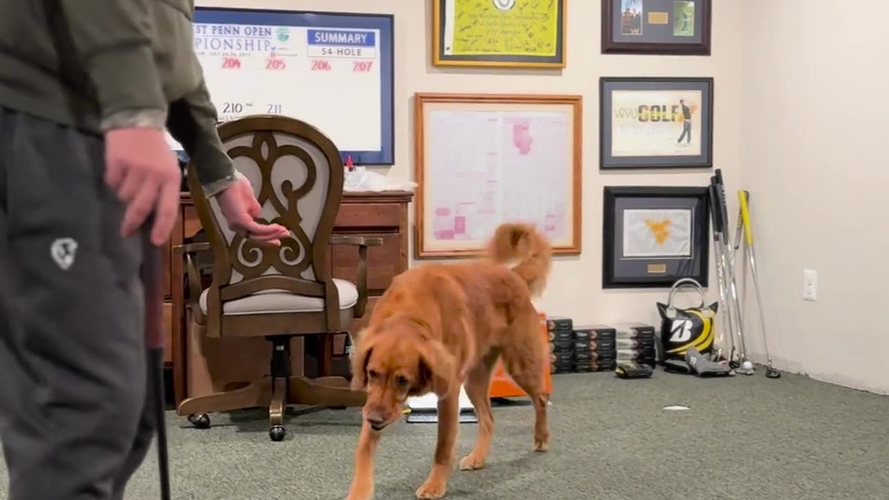 Taught his dog to do a pretty neat trick!