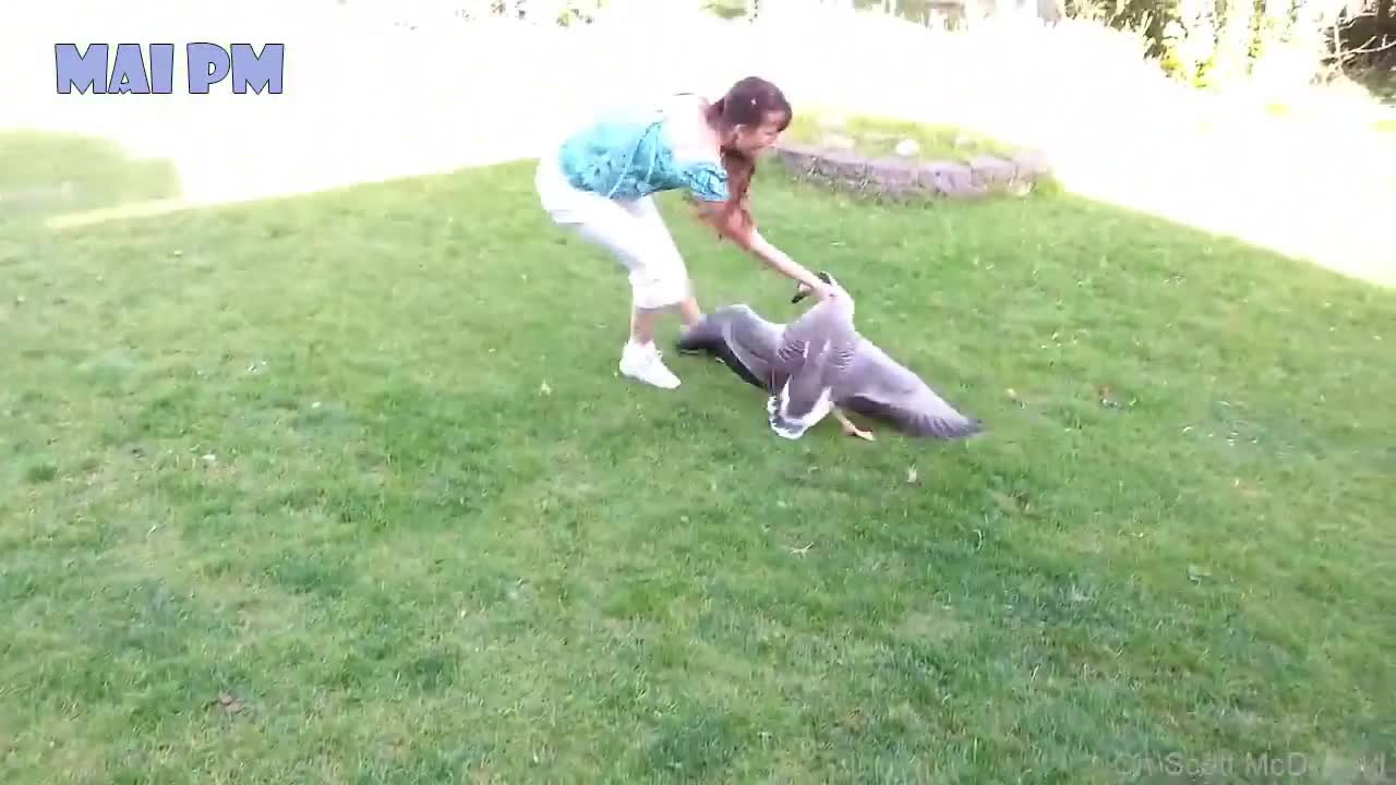 Beautiful girl pecked by a swan