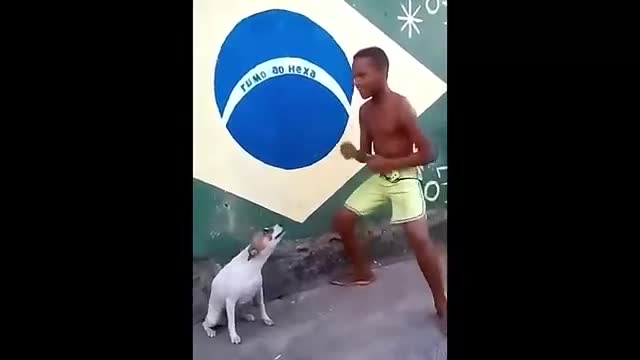 Perrito bailando del meme