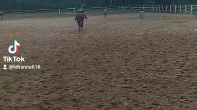 Today's workout, I love horses