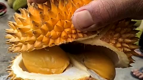 Durian Tembaga