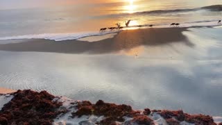 Melbourne Beach Morning