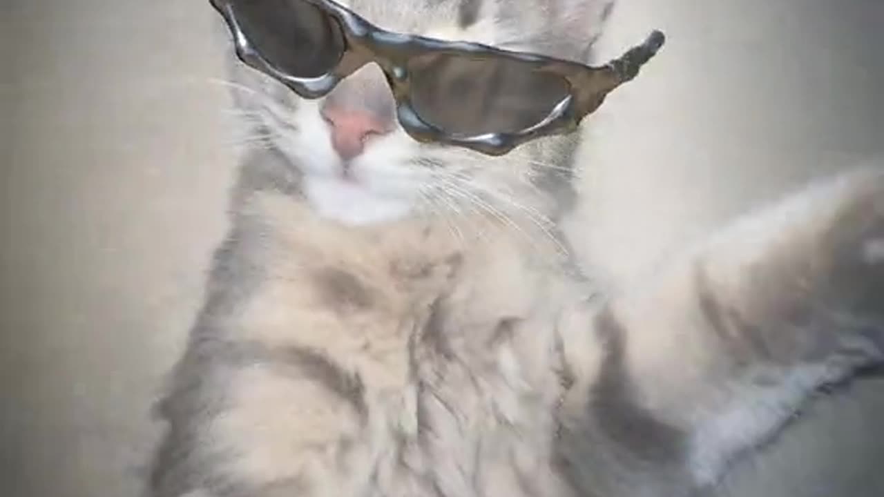 😺