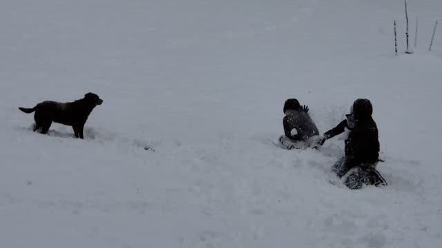 More Snow Fun in TN