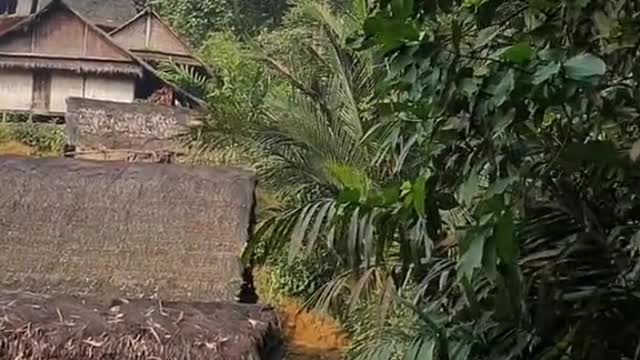 Rumah adat baduy