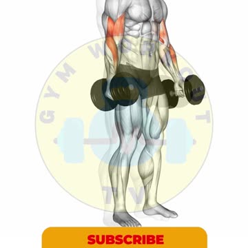 Dumbbell Bicep Workout #shorts #bicepsworkout #bicep