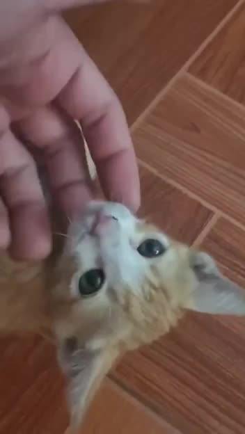 I drink the milk but I still don’t like you 😂