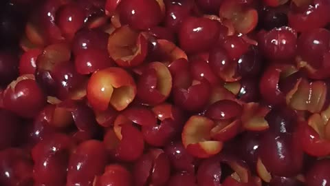 Adding vinegar to plums for jam