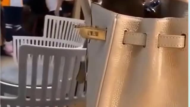 Cute Puppies and Funny / Smart Dogs Compilation #4