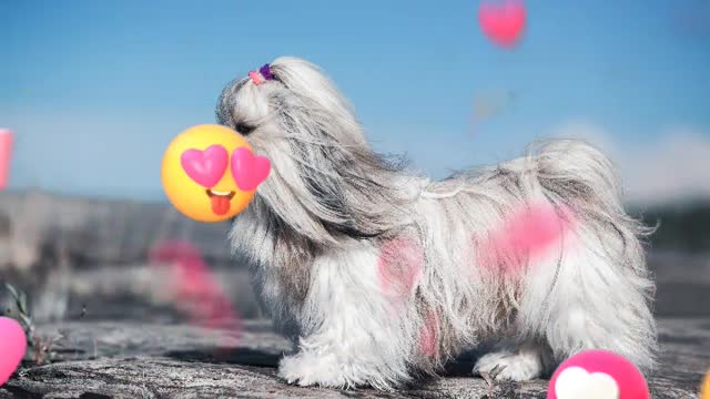 The beautiful braids are also so appreciative.mp4