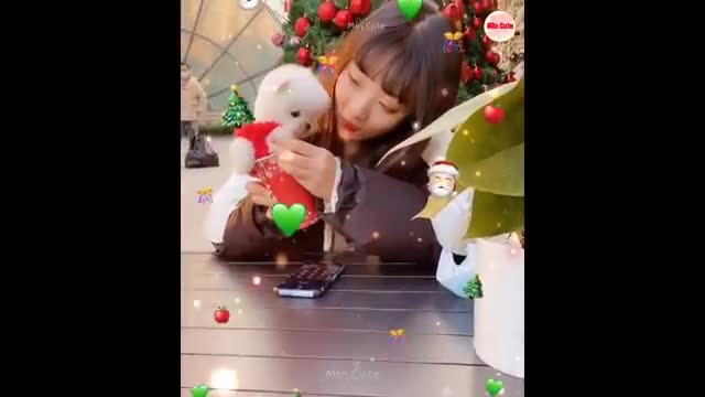 Funny and cute puppy very funny public video sweet