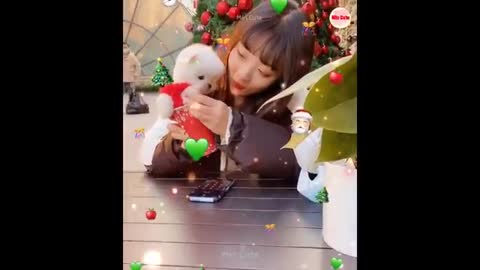 Funny and cute puppy very funny public video sweet