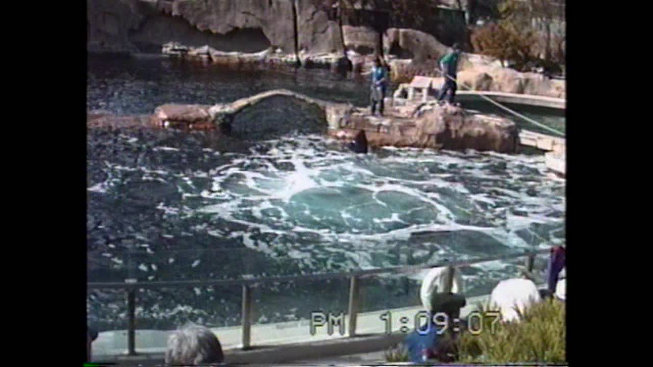 VANCOUVER AQUARIUM PART 1