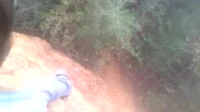 Kid jumps off cliff, crashes into two trees, and falls on the ground