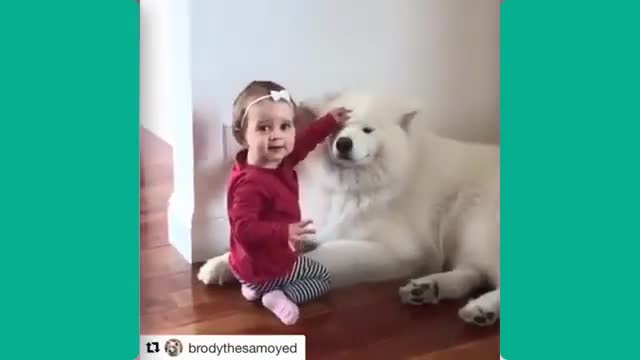 Cute Babies with Dogs