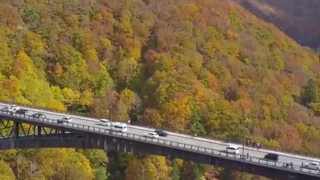 Spectacular! | A colorful view from Jogakura Ohashi Bridge