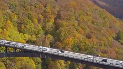 Spectacular! | A colorful view from Jogakura Ohashi Bridge