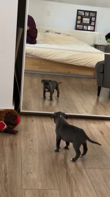 First time in the mirror