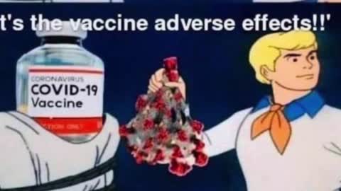Deceptive Reasons mainstream media gives on increased deaths