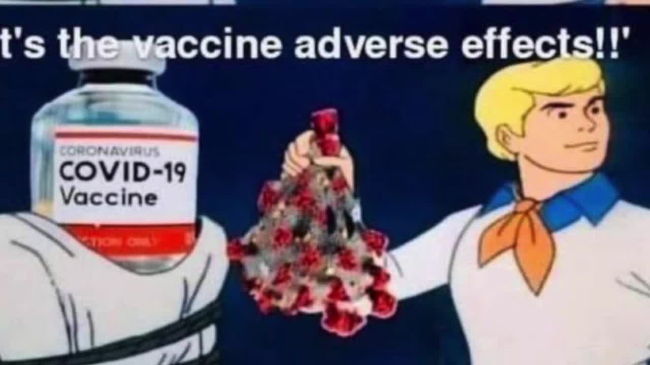 Deceptive Reasons mainstream media gives on increased deaths