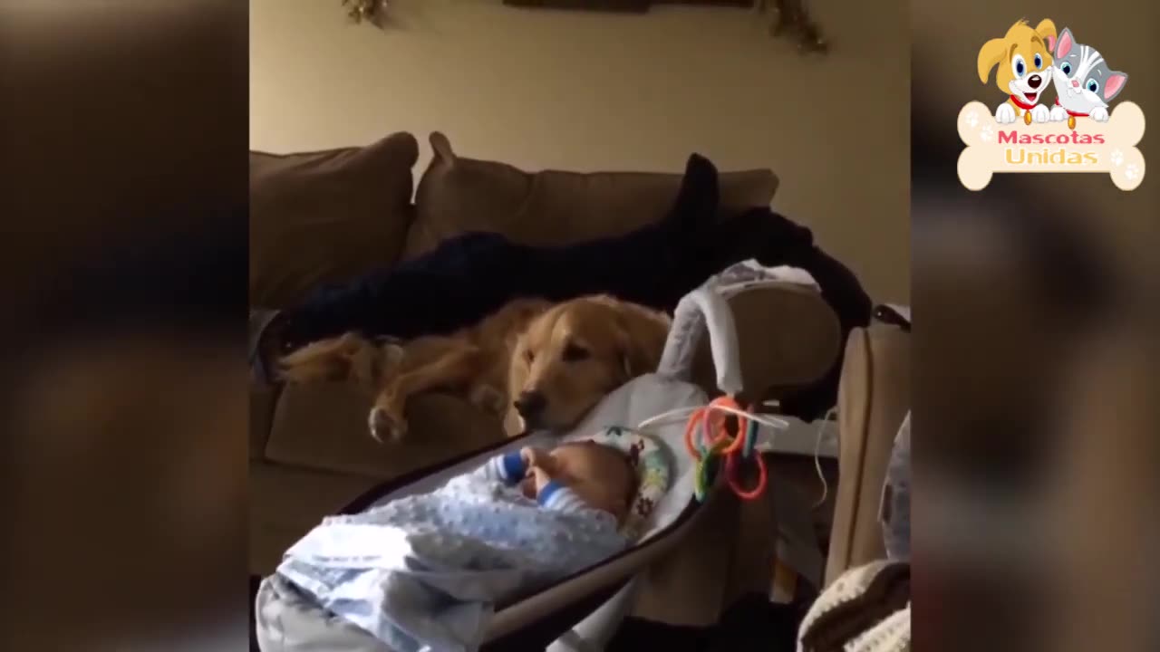 FirstFunny || NEW FUNNY FAILS || TRY NOT TO LAUGH || 🤣🤣😅😅