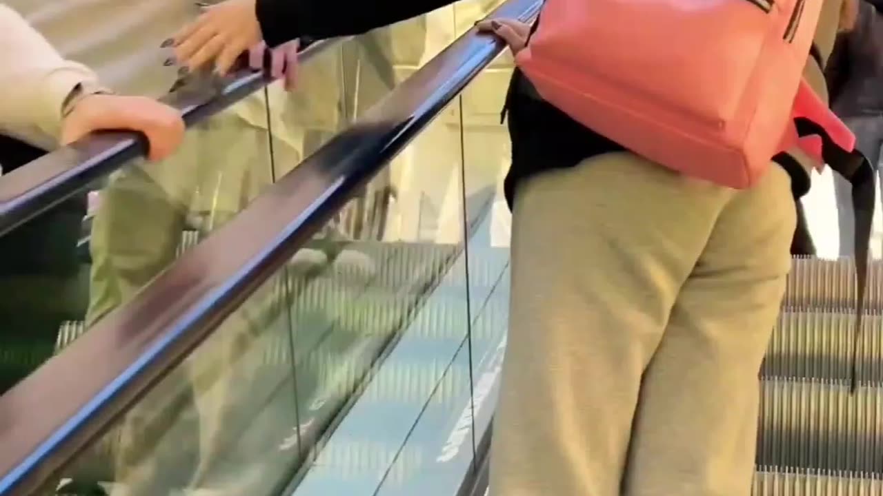 Which_video_did_you_like_more_than