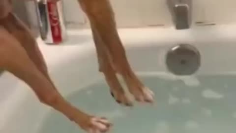 Dogs video