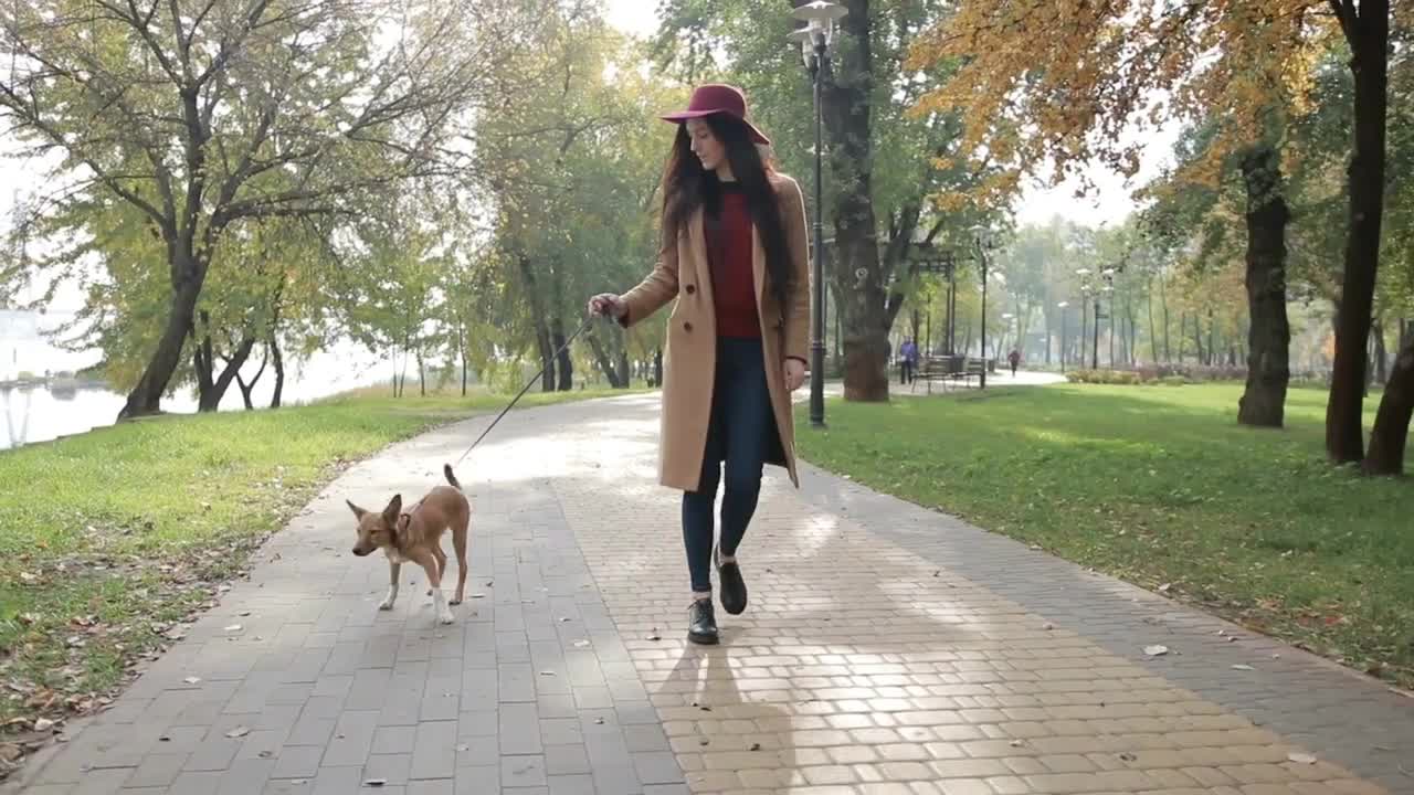 Elegant woman walking with dog in autumn park